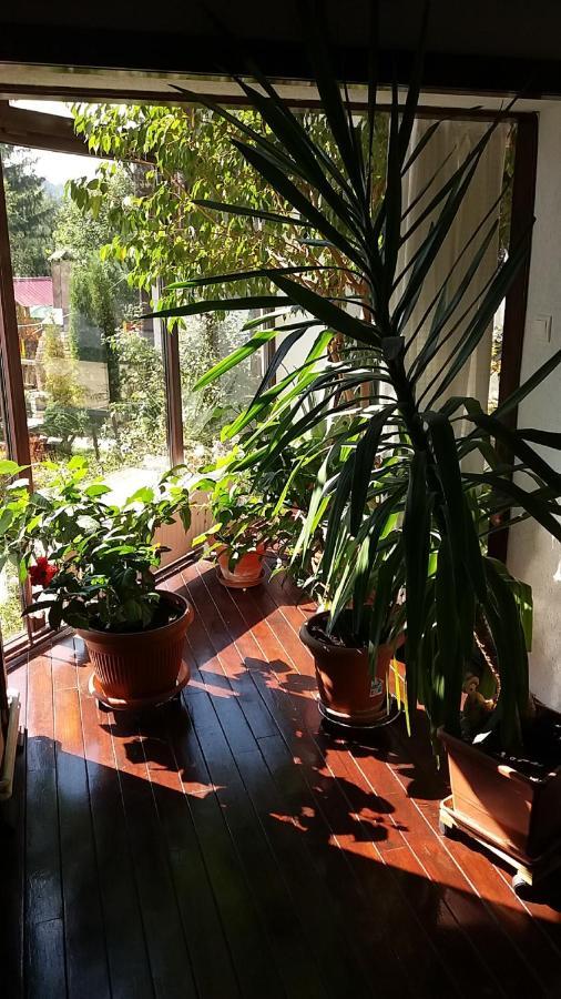 Vila Smaranda Predeal Exteriér fotografie